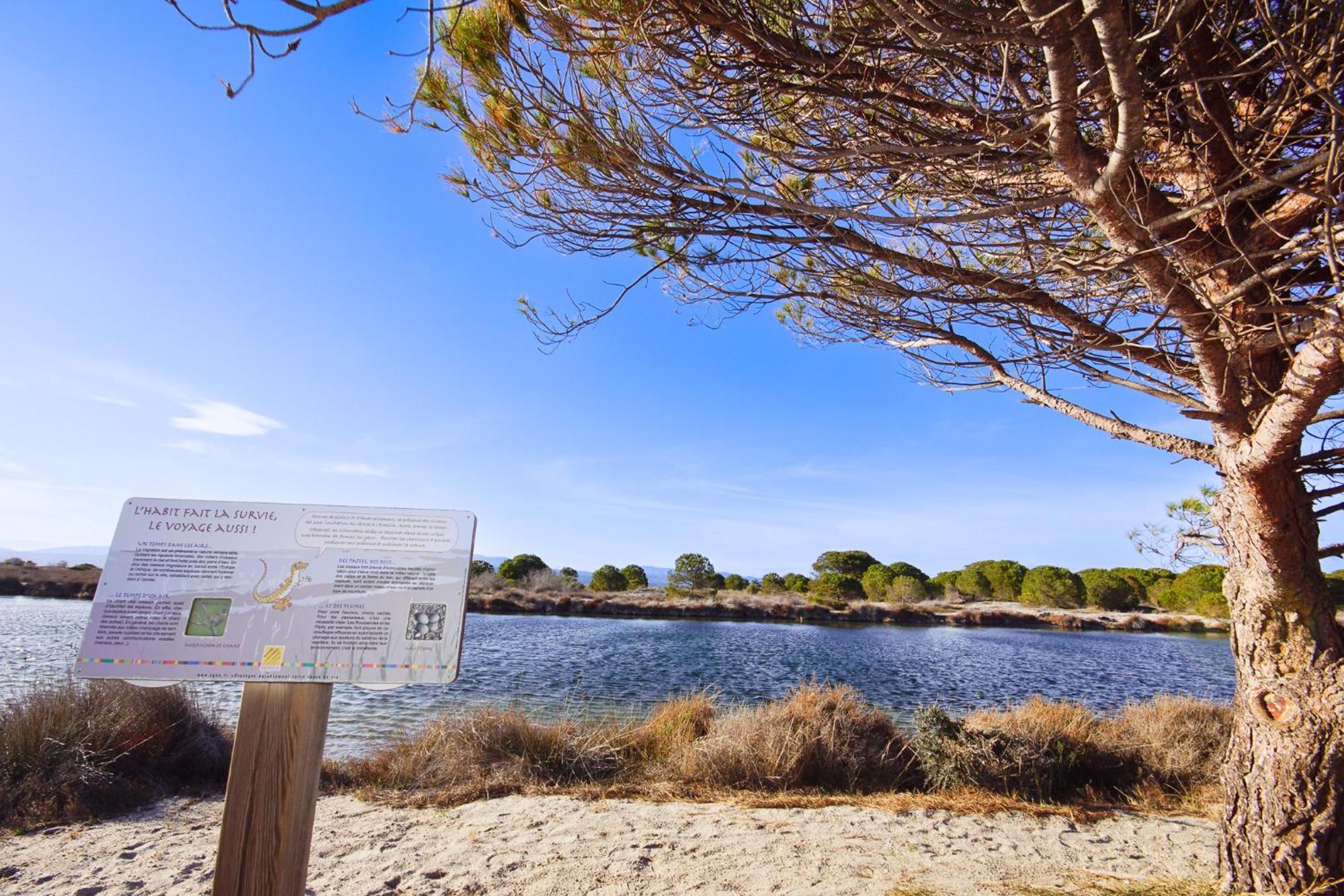 Marina, Ile Des Pecheurs - Acces Piscine Et Spa Le Barcares Bagian luar foto